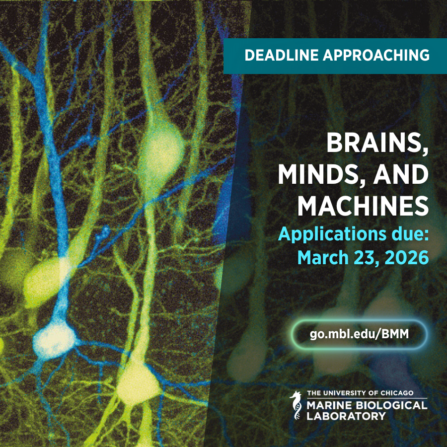 Marine Biological Laboratory (MBL) tweet media