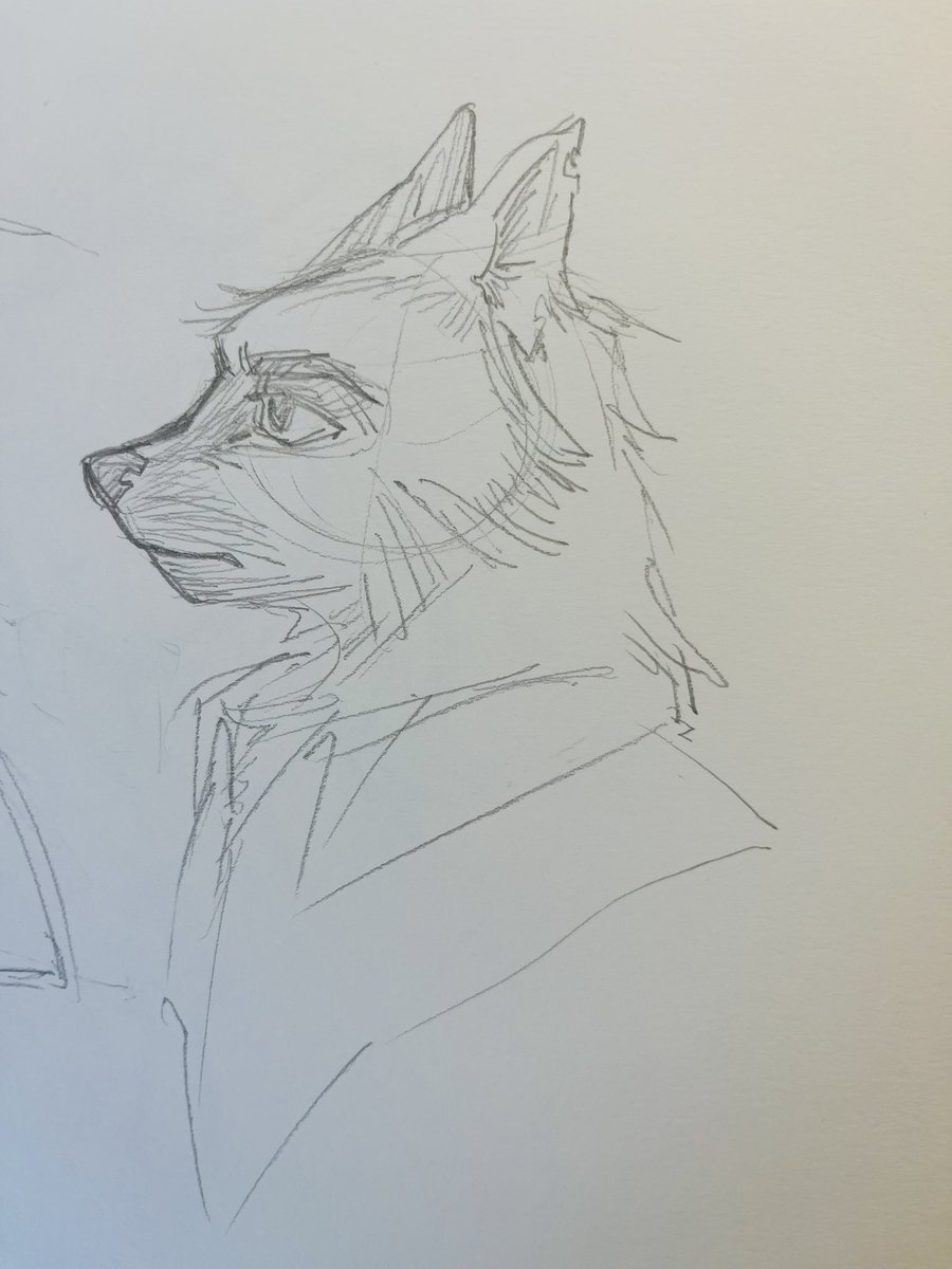 RealPakk tweet media