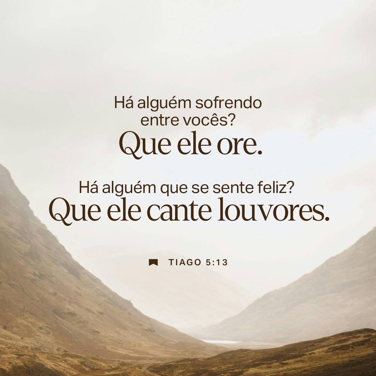 ElninoAdler tweet media