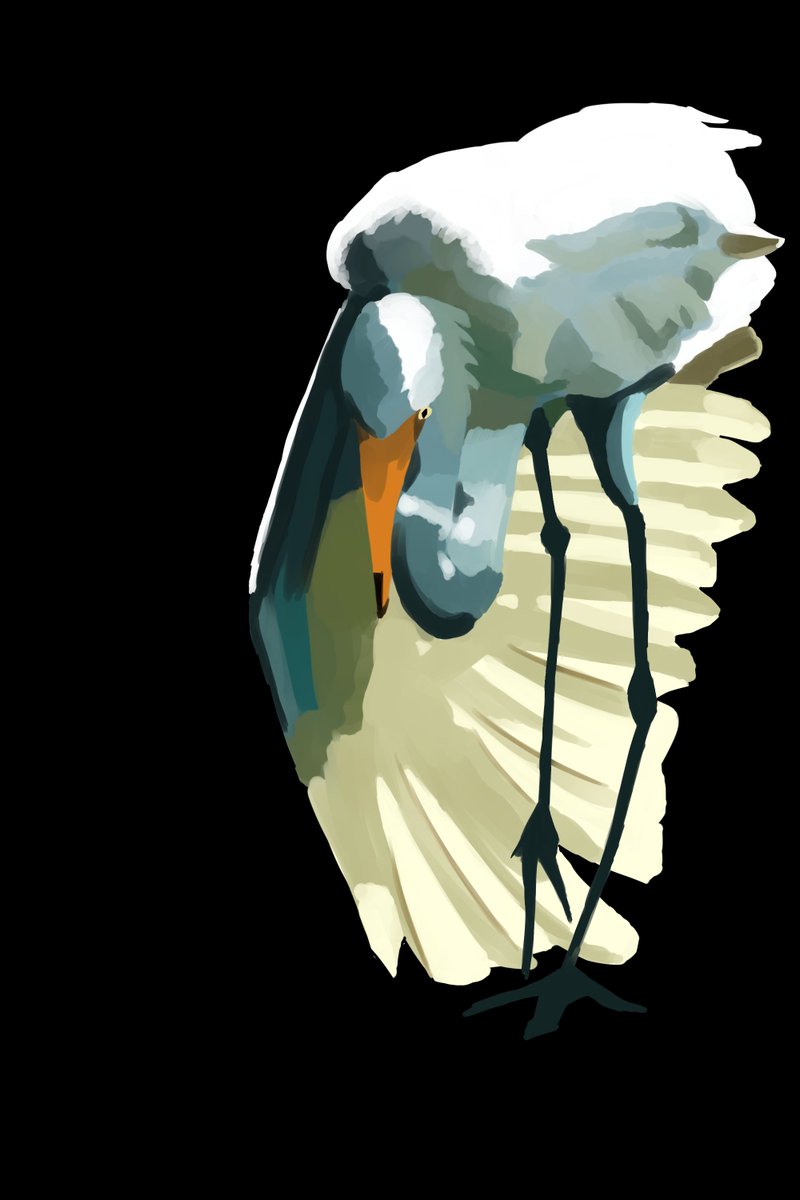 Hawk Art tweet media
