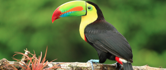 Ptlura🇺🇦 tweet media