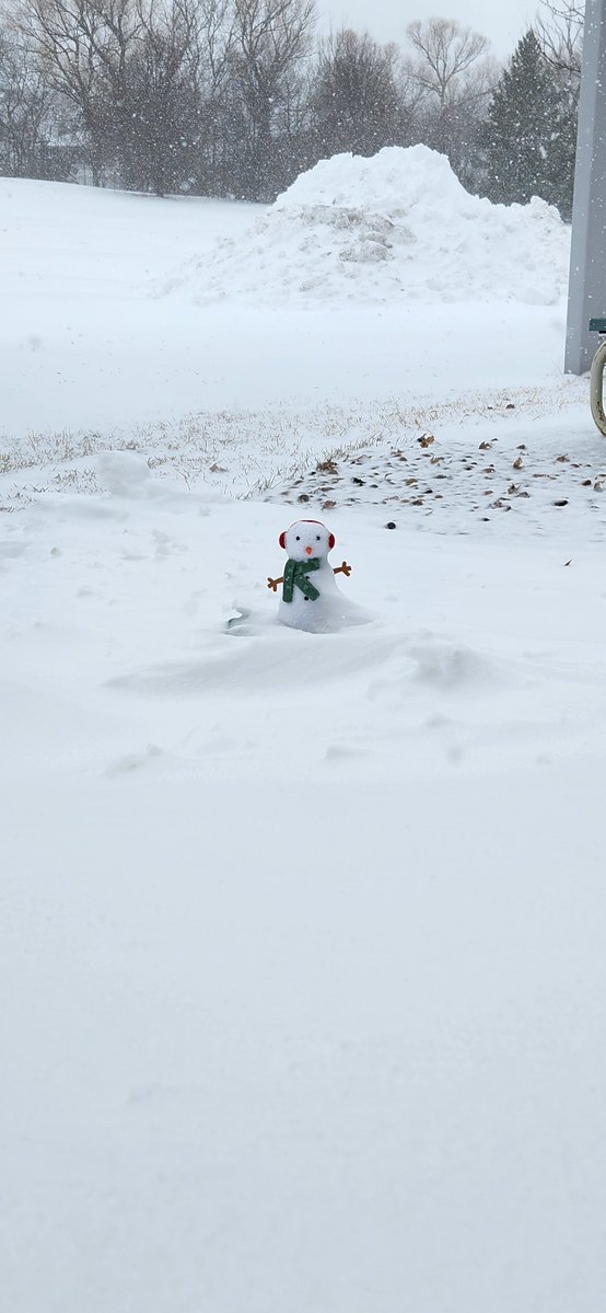 NWS Twin Cities tweet media