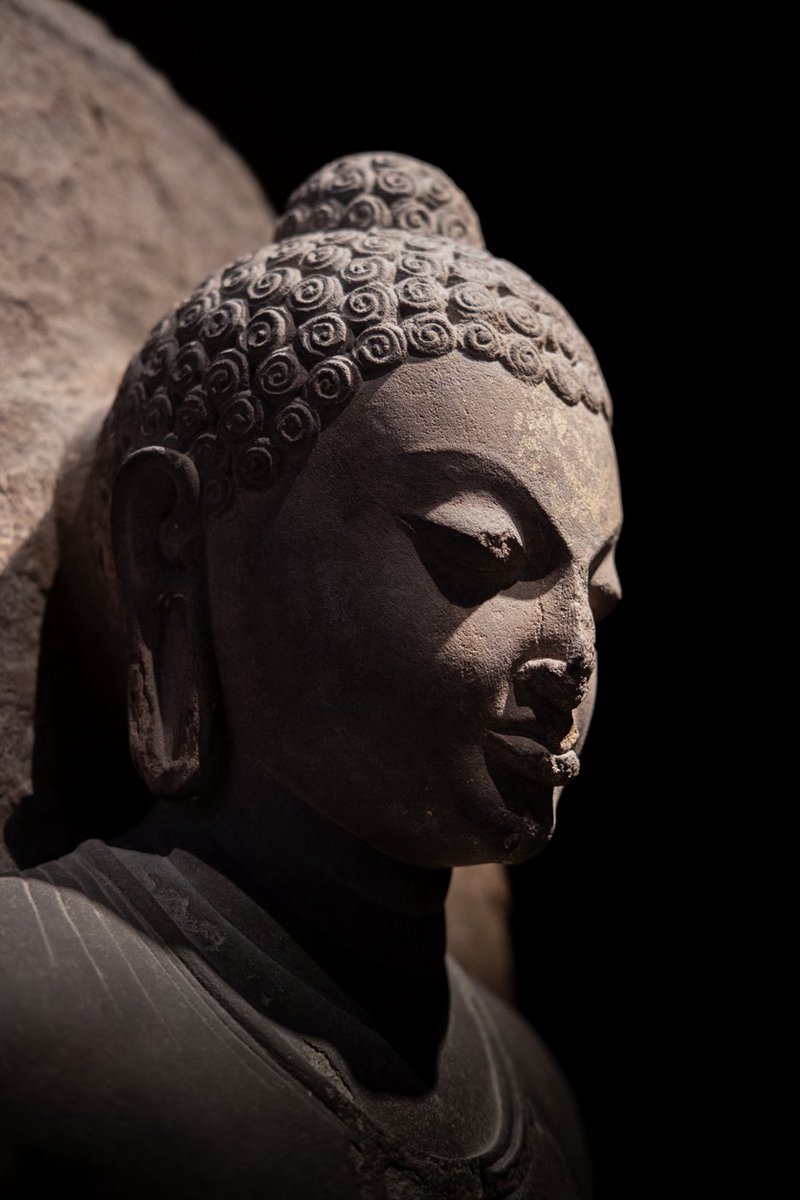 Buddha Project tweet media