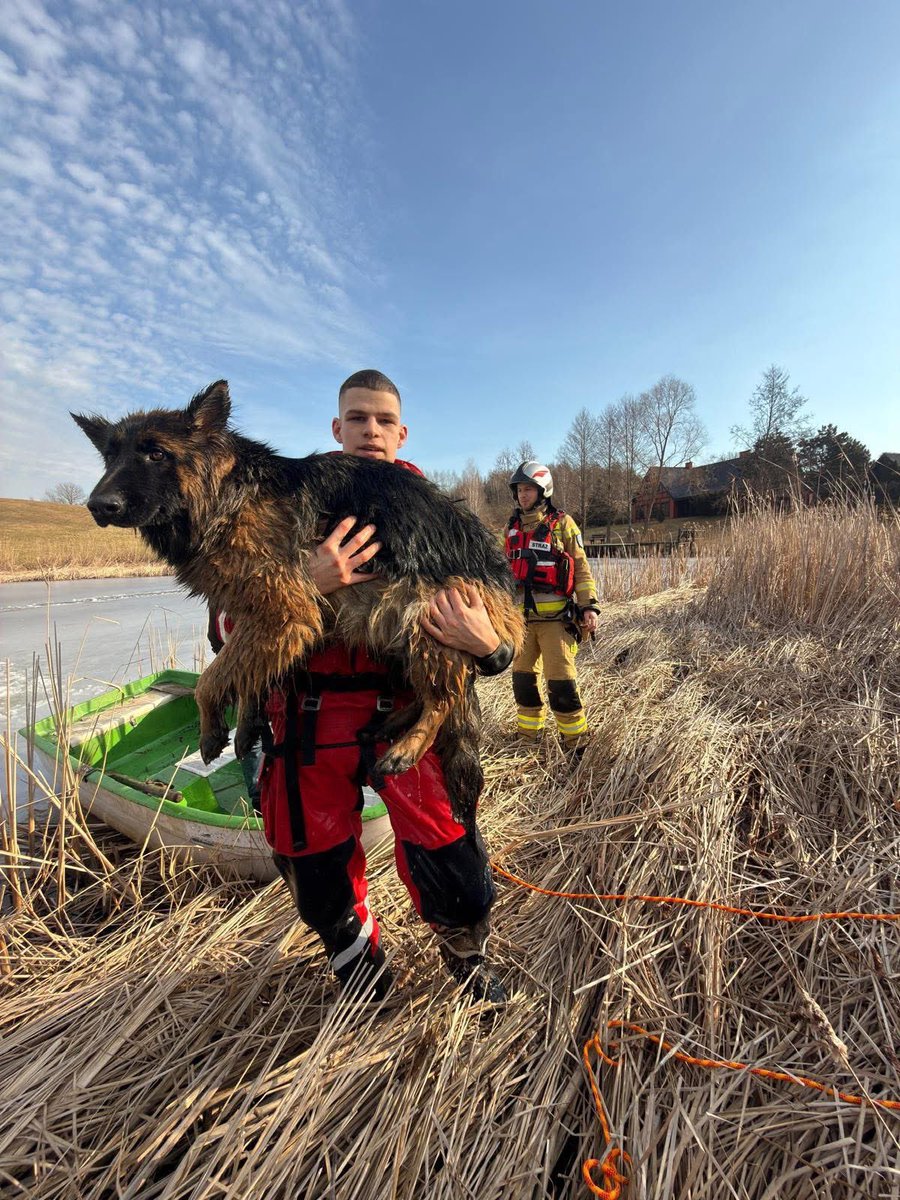 Damian Żurawski tweet media