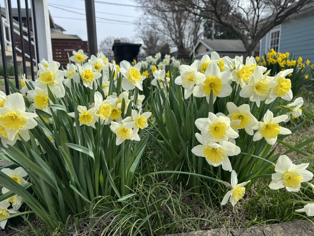 Amy Foos Kapoor tweet media