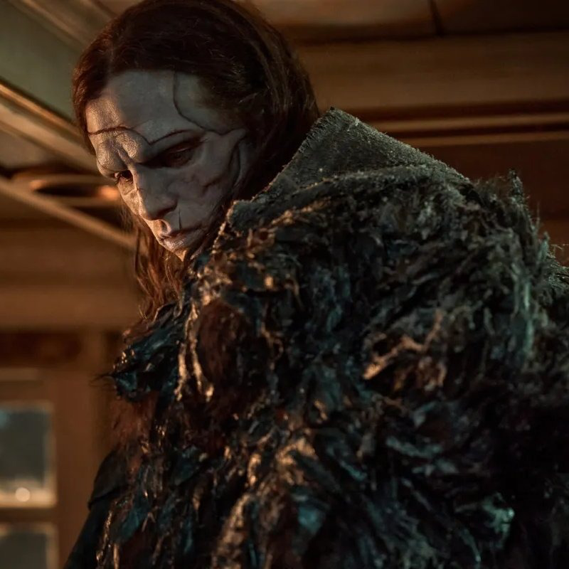 Daily Pop tweet media