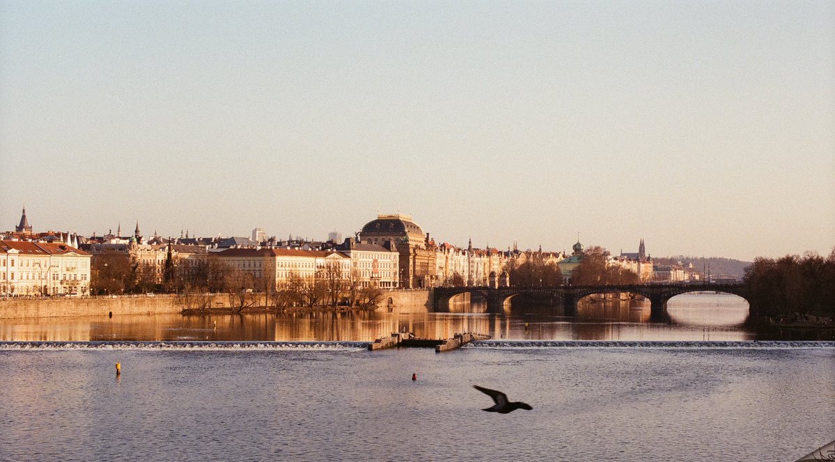 Oleg Tolmachev tweet media