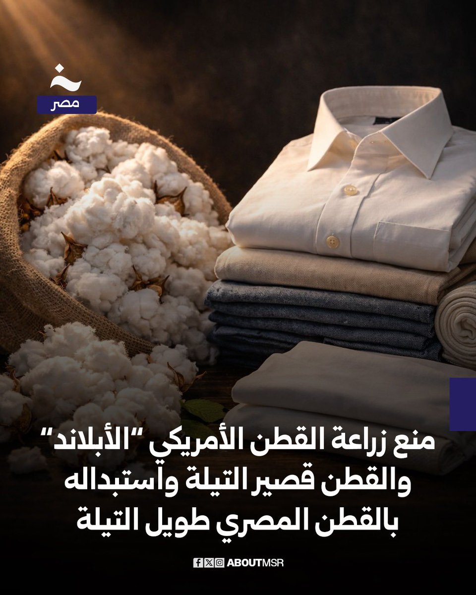 خاص - مصر tweet media