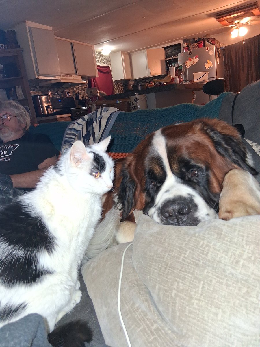 Angie is NOT going back 🌊🌊 tweet media