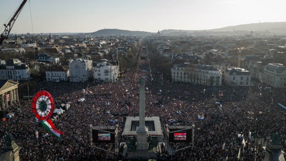 Tziki Brandwine ציקי ברנדוין tweet media