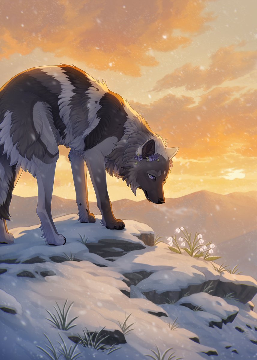 🌧️ fewsh 🌧️ tweet media