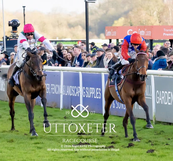 Emma Lavelle tweet media