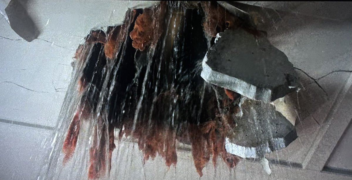 JV Marx 🦴 tweet media