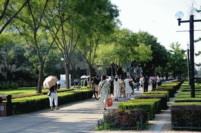 mike garcia tweet media