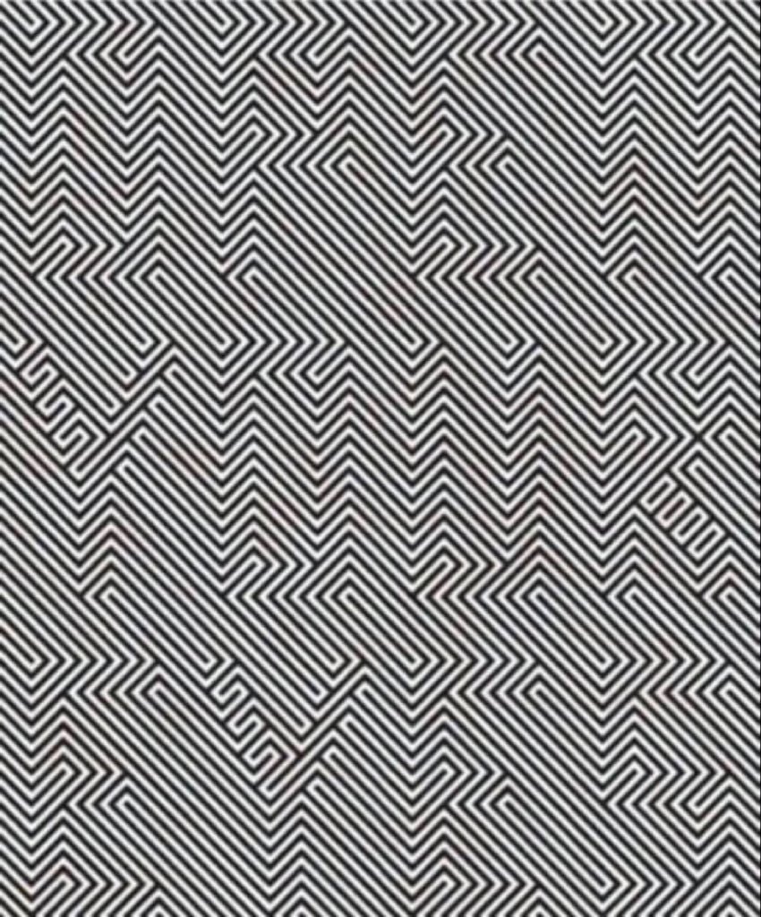 (FAN) Elon musk fanatic tweet media