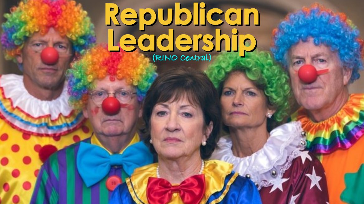 Michael MacCloskey 🇺🇸 tweet media