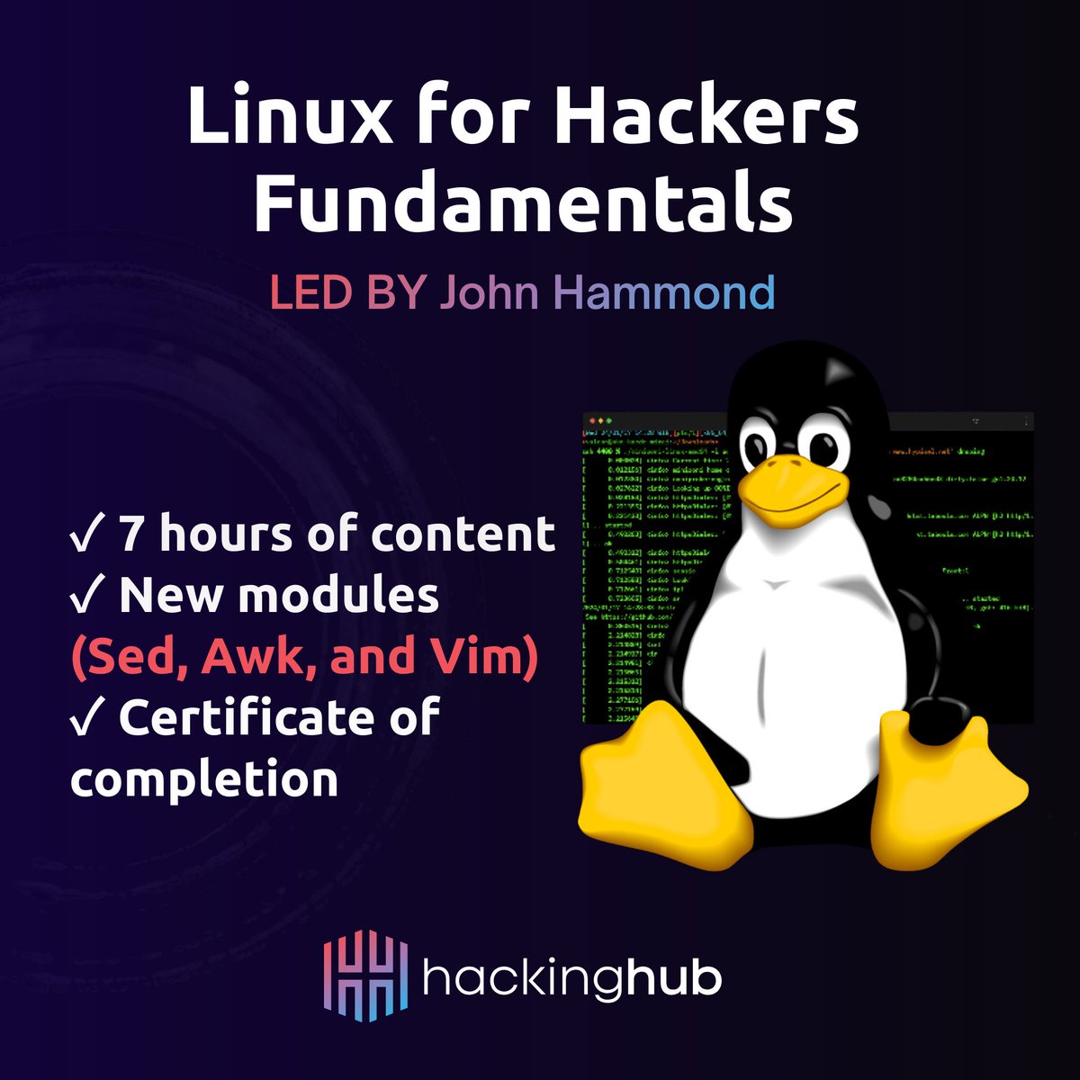 HackingHub tweet media