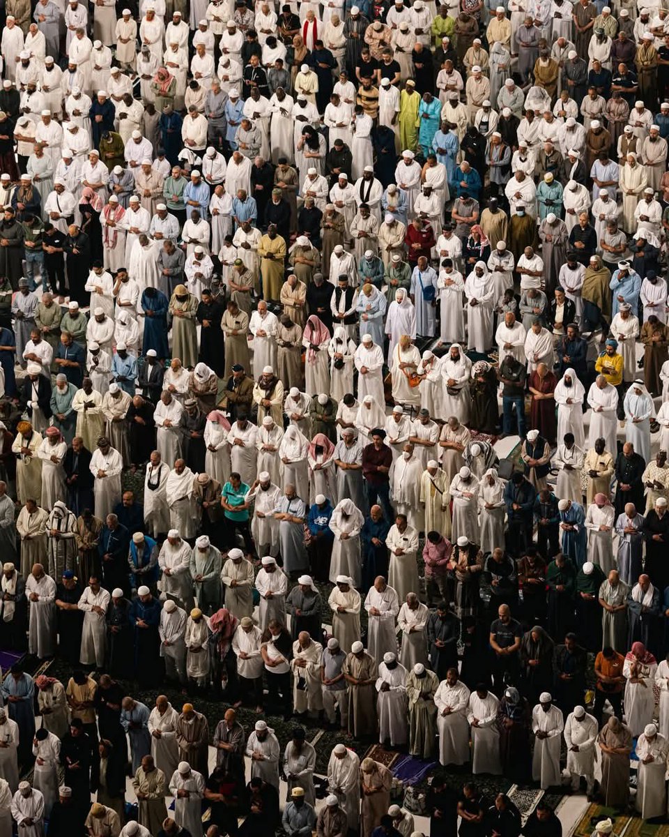 بَليـغٌ tweet media