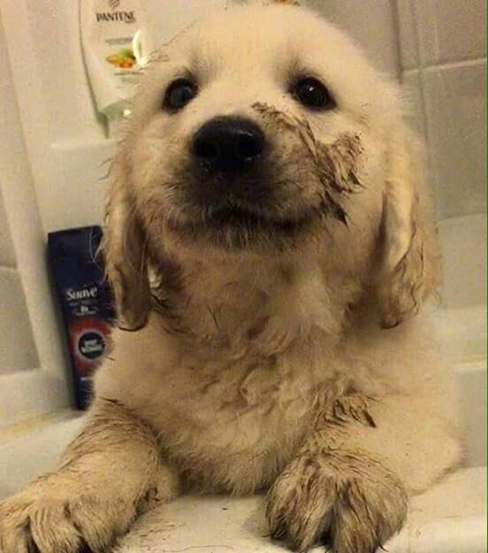 rin 𖦹 tweet media