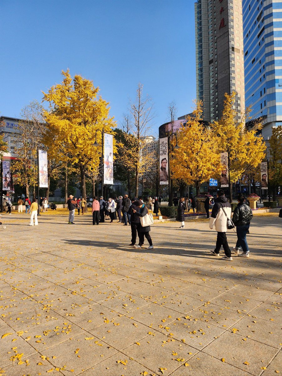 federico scaglione tweet media