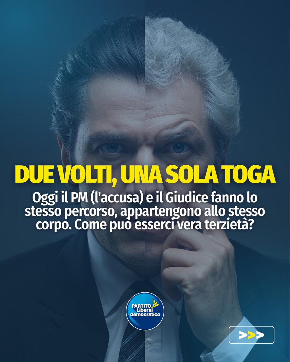 Partito Liberaldemocratico tweet media