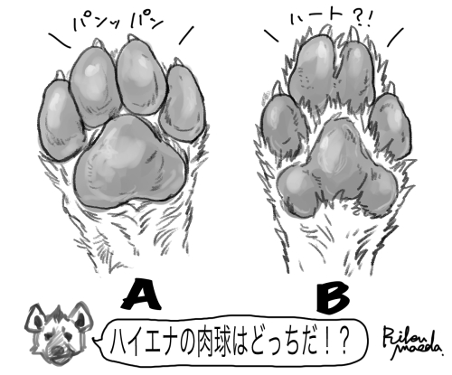 前田陸(Riku Maeda) tweet media