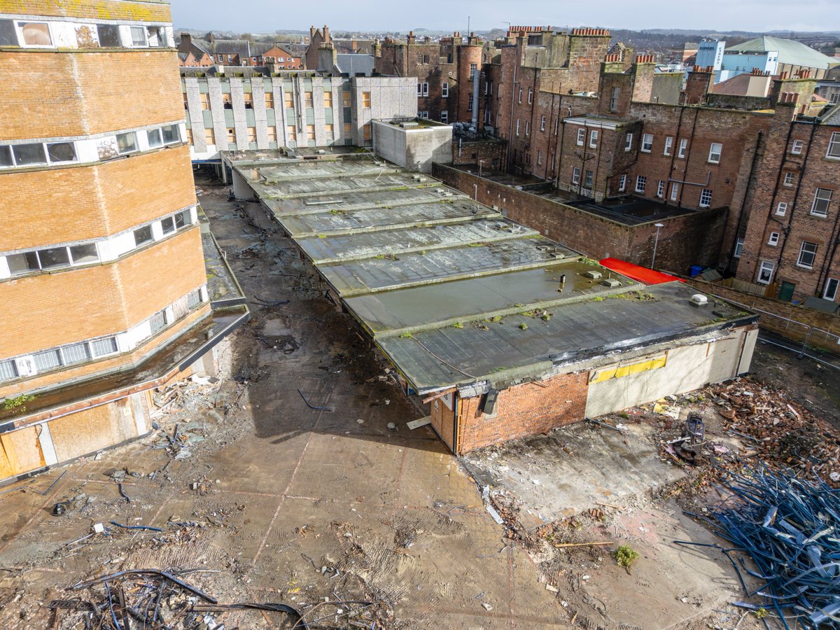 Kai Brown 📷 tweet media