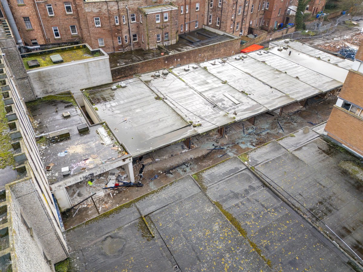 Kai Brown 📷 tweet media