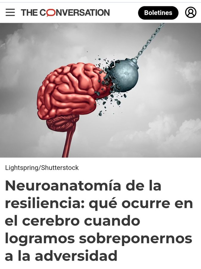 Virginio Gallardo tweet media