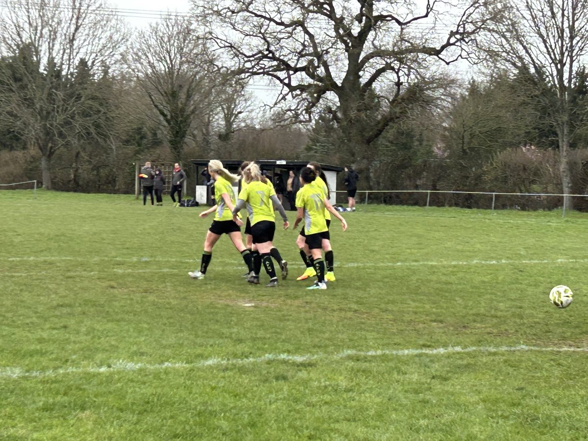 The Terrace Traveller tweet media