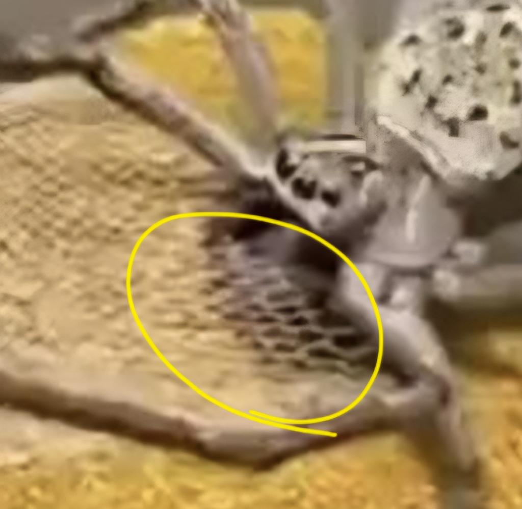 LΣҒT βRΔIΠ tweet media