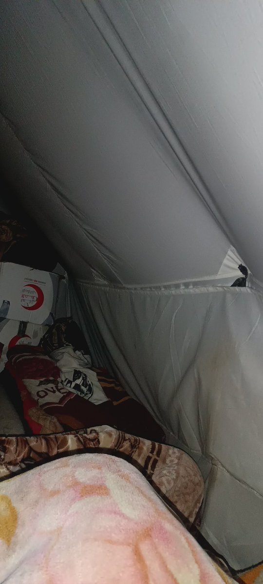 Nahla taysir 🍉 🇵🇸🇵🇸 tweet media