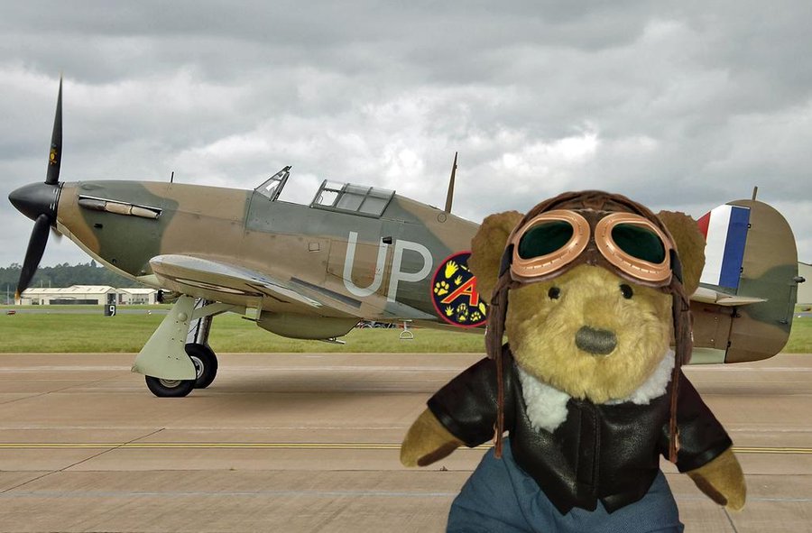 RadarTweets tweet media