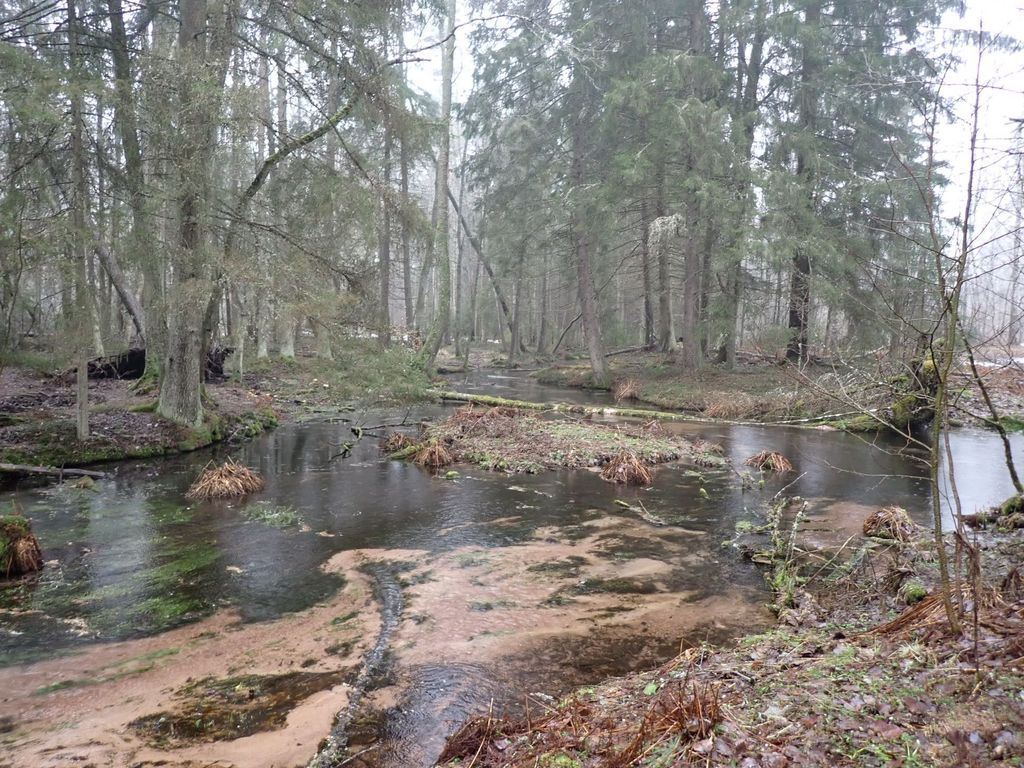 Mikko Mäkipää tweet media