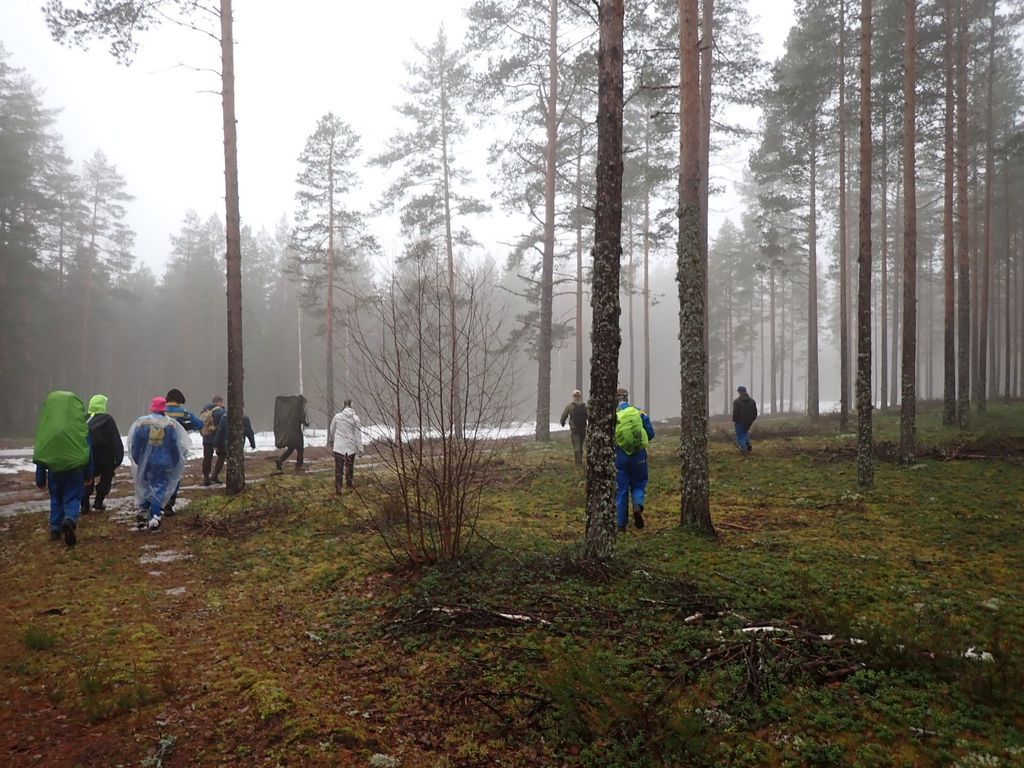 Mikko Mäkipää tweet media