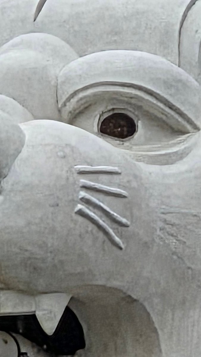 べる🕊 tweet media