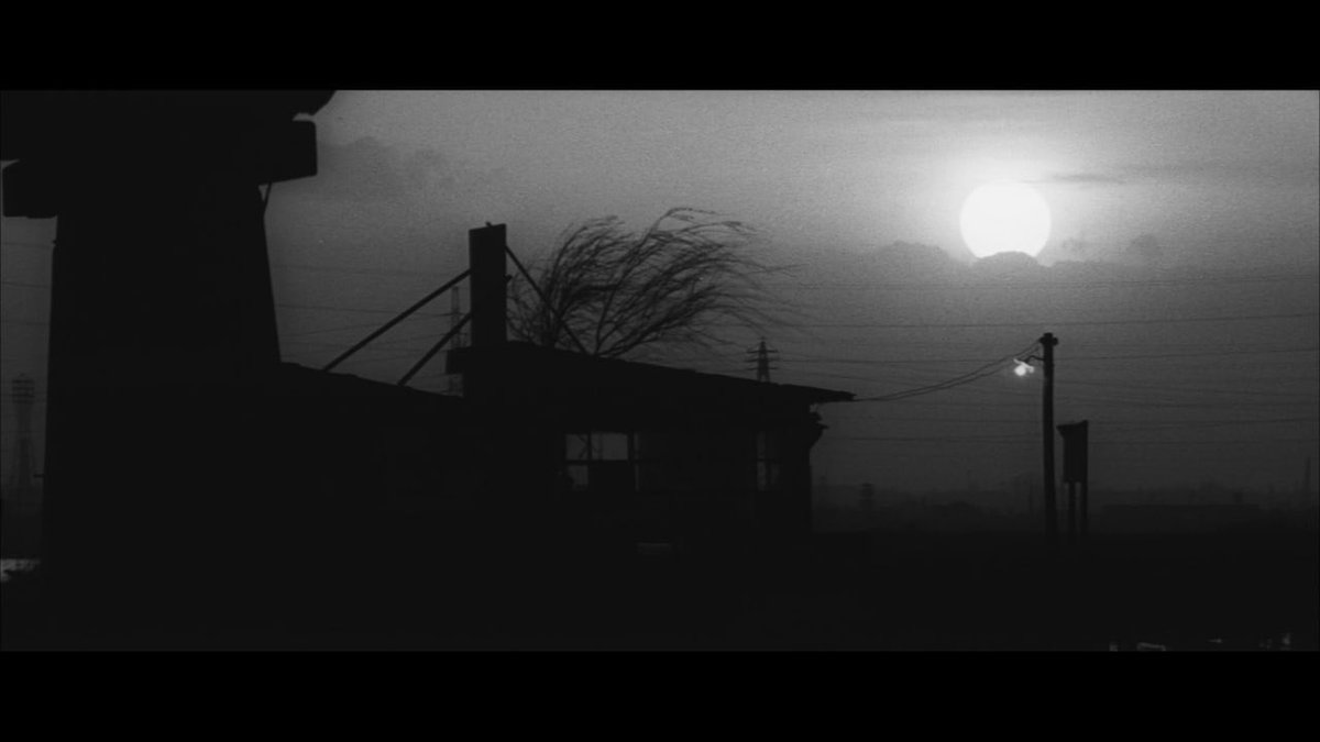 Werner Herzog's missing shoe tweet media