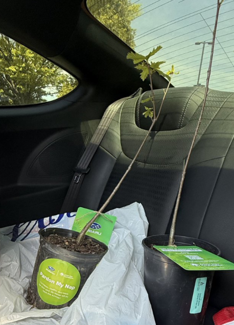 thedealsguy tweet media