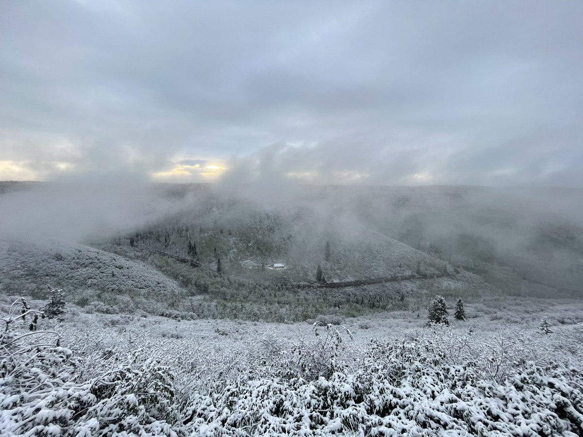 Benjamin Westby (Back Roads EV) tweet media