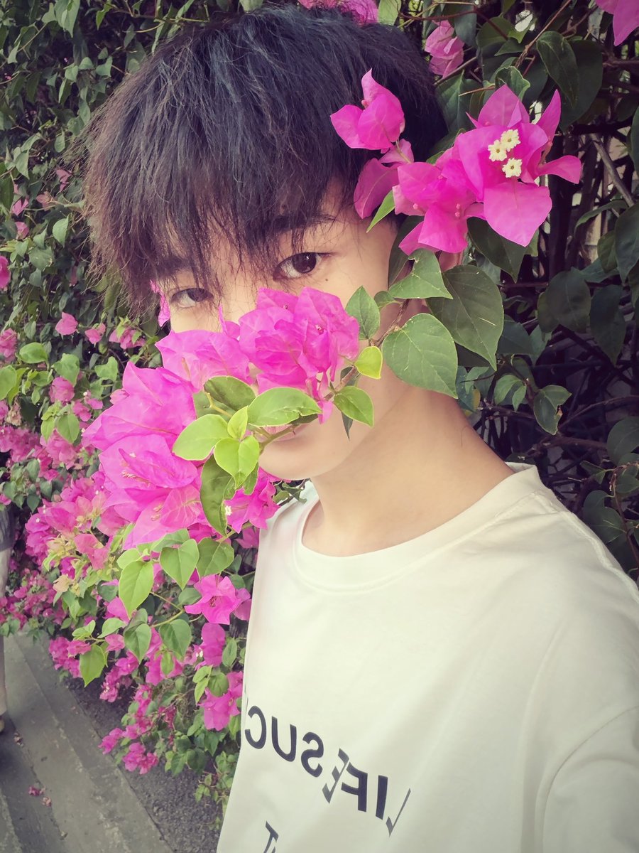 小怕（广州） tweet media