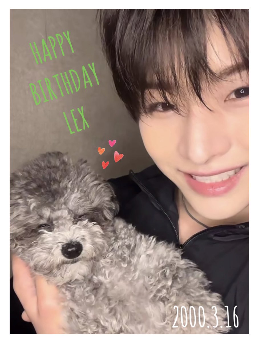 Tantan_zoooooo's tweet photo. お誕生日おめでとうございます🎂
レイちゃんと共に 幸せ💚が 
いっぱいの1年になりますように...。
リーダー いつもありがとう🐨✨
#XODIAC #LEX #レックス
#HAPPYLEXDAY https://t.co/wNzbebGXtR