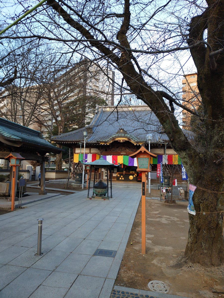 t.unuma(鵜沼巧) tweet media