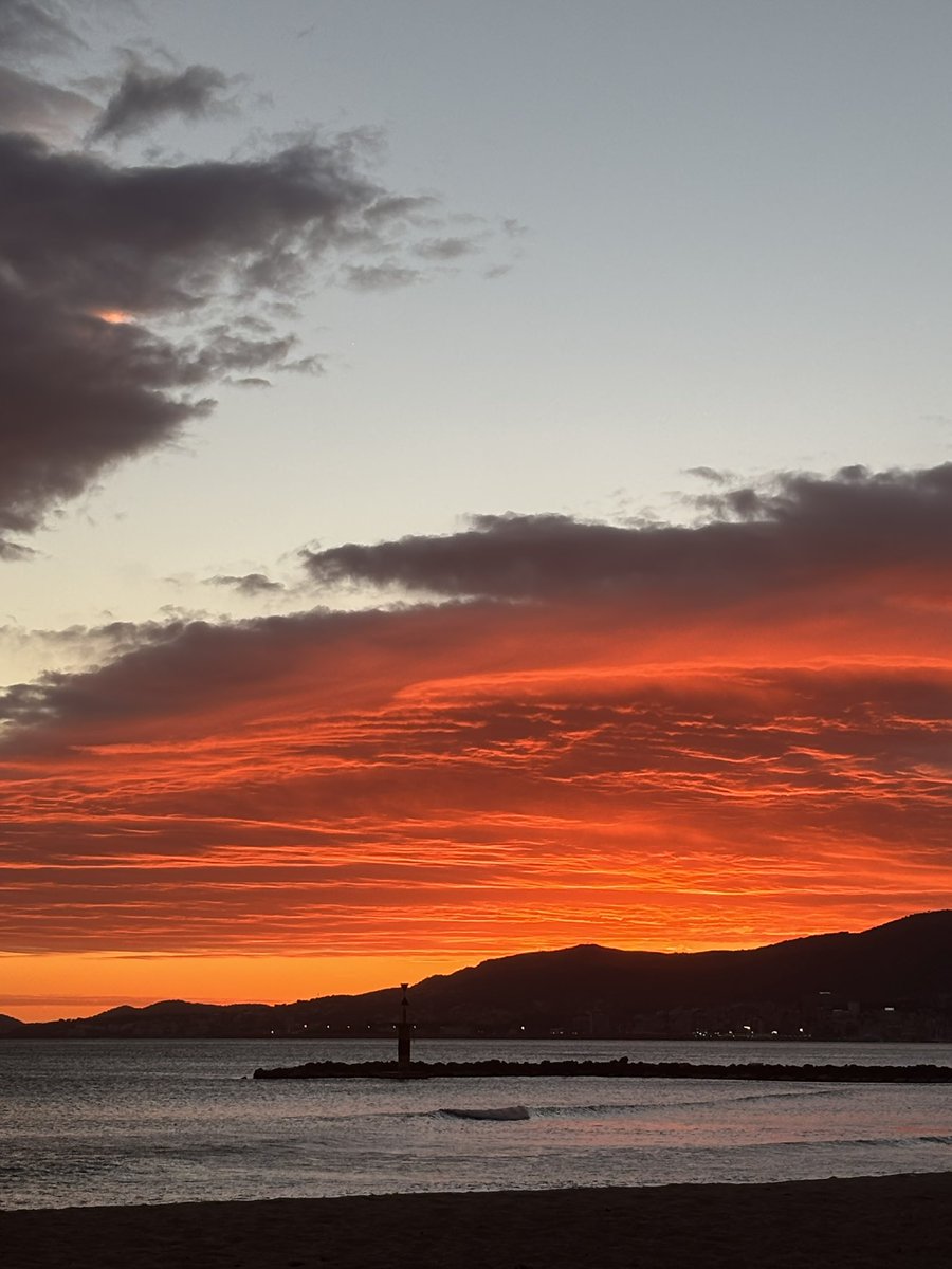 L ✈️ tweet media