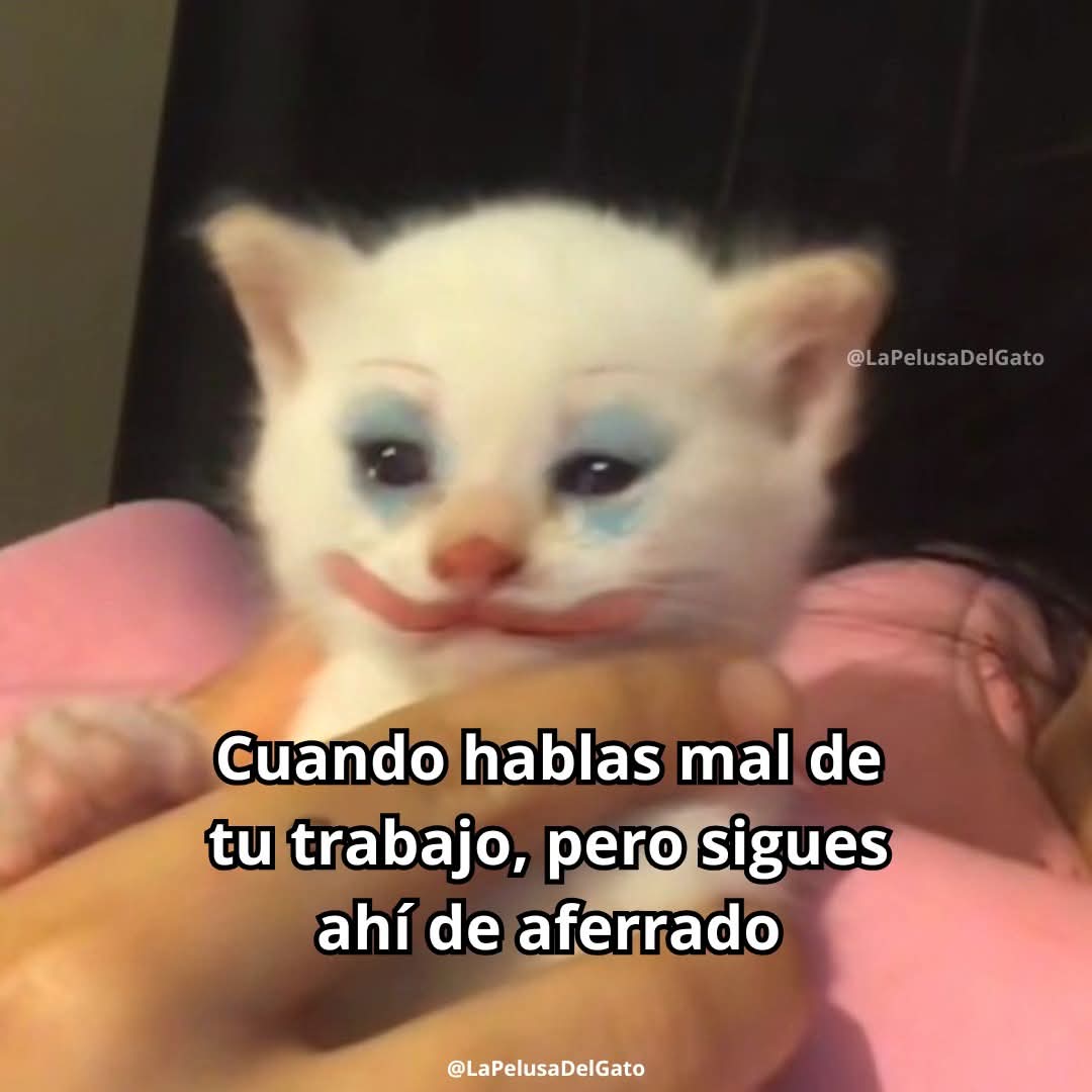 Paisajes del Mundo tweet media