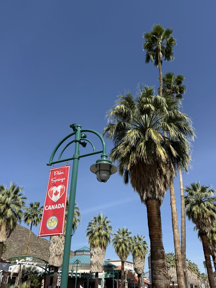 Steve Schmidt tweet media