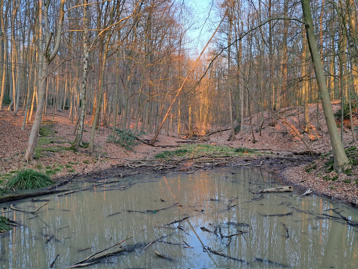 Cold Country President 🇵🇸 tweet media