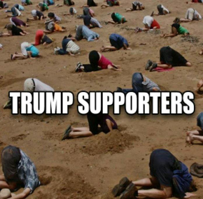 A Gadfly tweet media