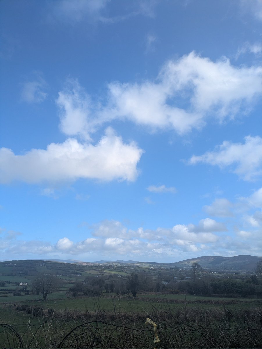 Ann Ward tweet media