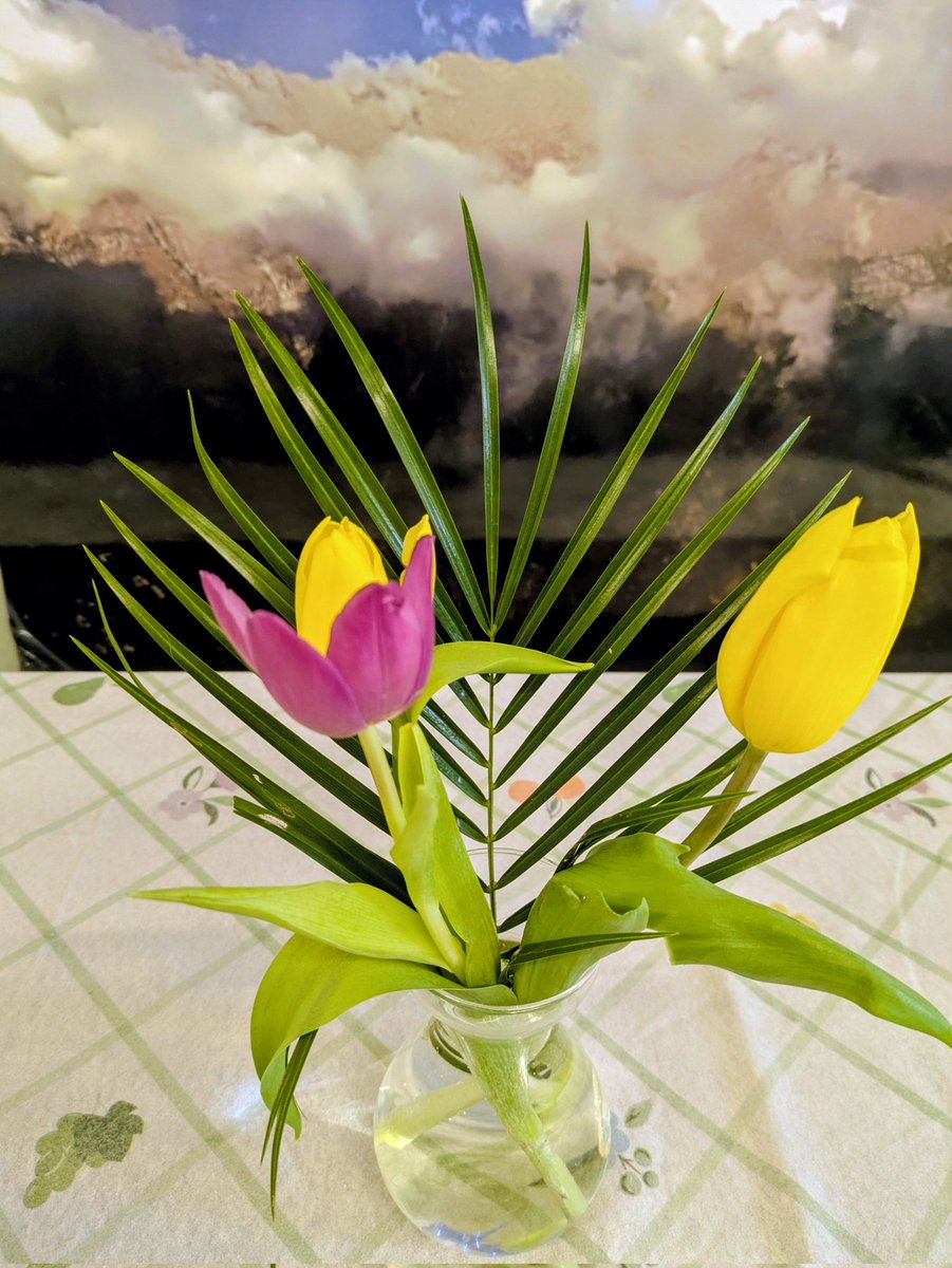 Ann Ward tweet media