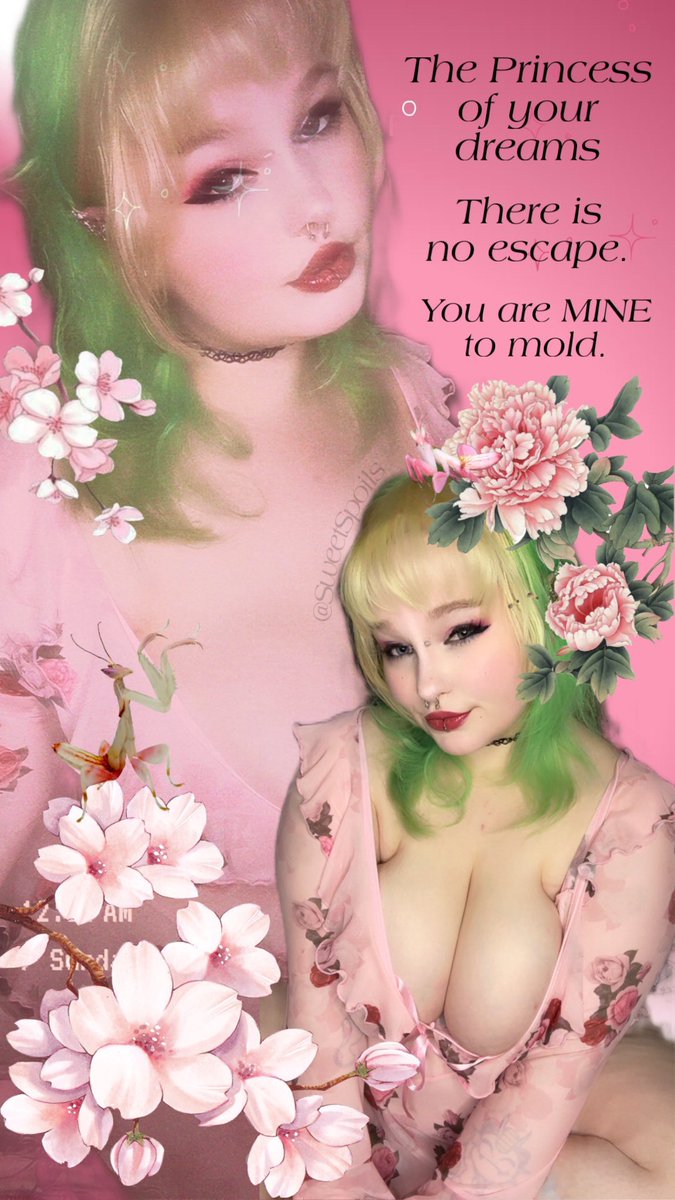 𝙿𝚛𝚒𝚗𝚌𝚎𝚜𝚜 𝙺𝚘𝚛𝚊 ✿ 𝙵𝚒𝚗𝚍𝚘𝚖 tweet media